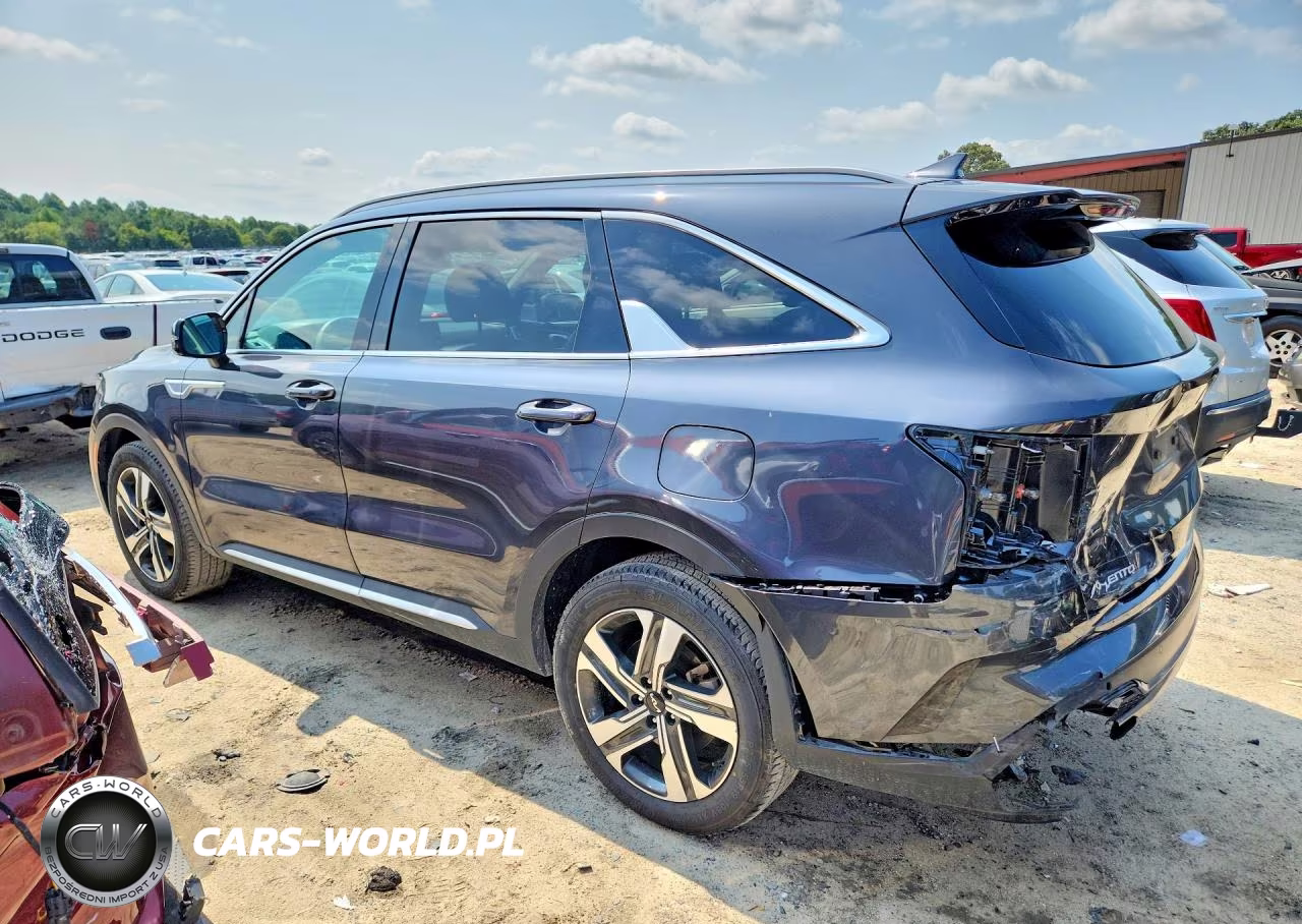 2023 Kia Sorento Ex VIN:KNDRHDLG4P5176658 - 2