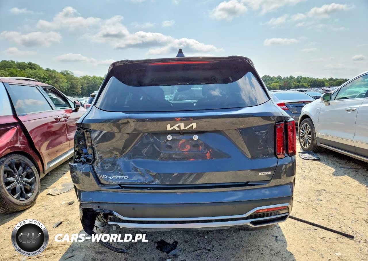 2023 Kia Sorento Ex VIN:KNDRHDLG4P5176658 - 6
