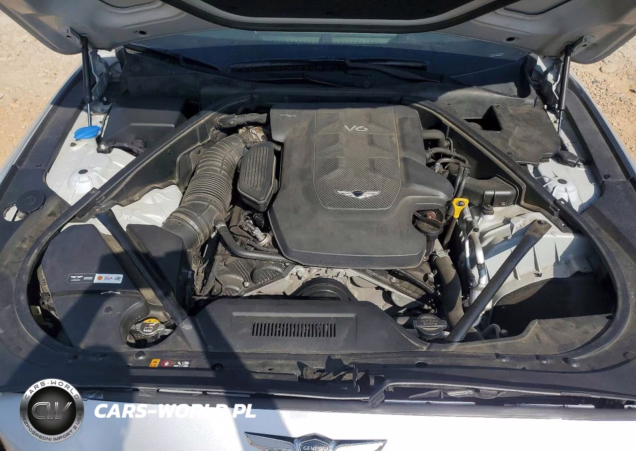 2017 Genesis G80 3.8 VIN:KMHGN4JE5HU195577 - 11