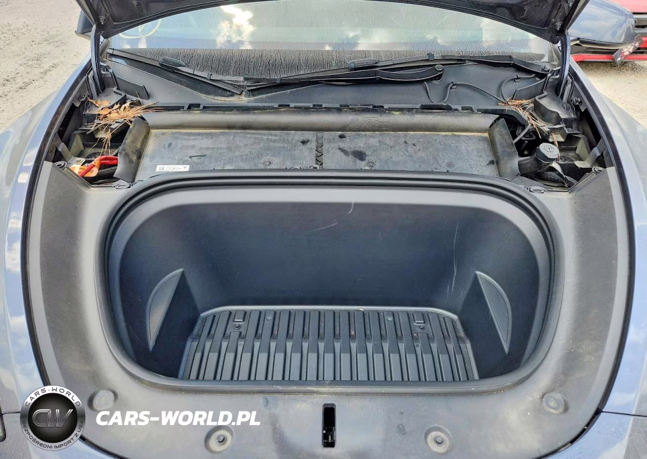 2023 Tesla Model Y VIN:7SAYGDEDXPF949703 - 11