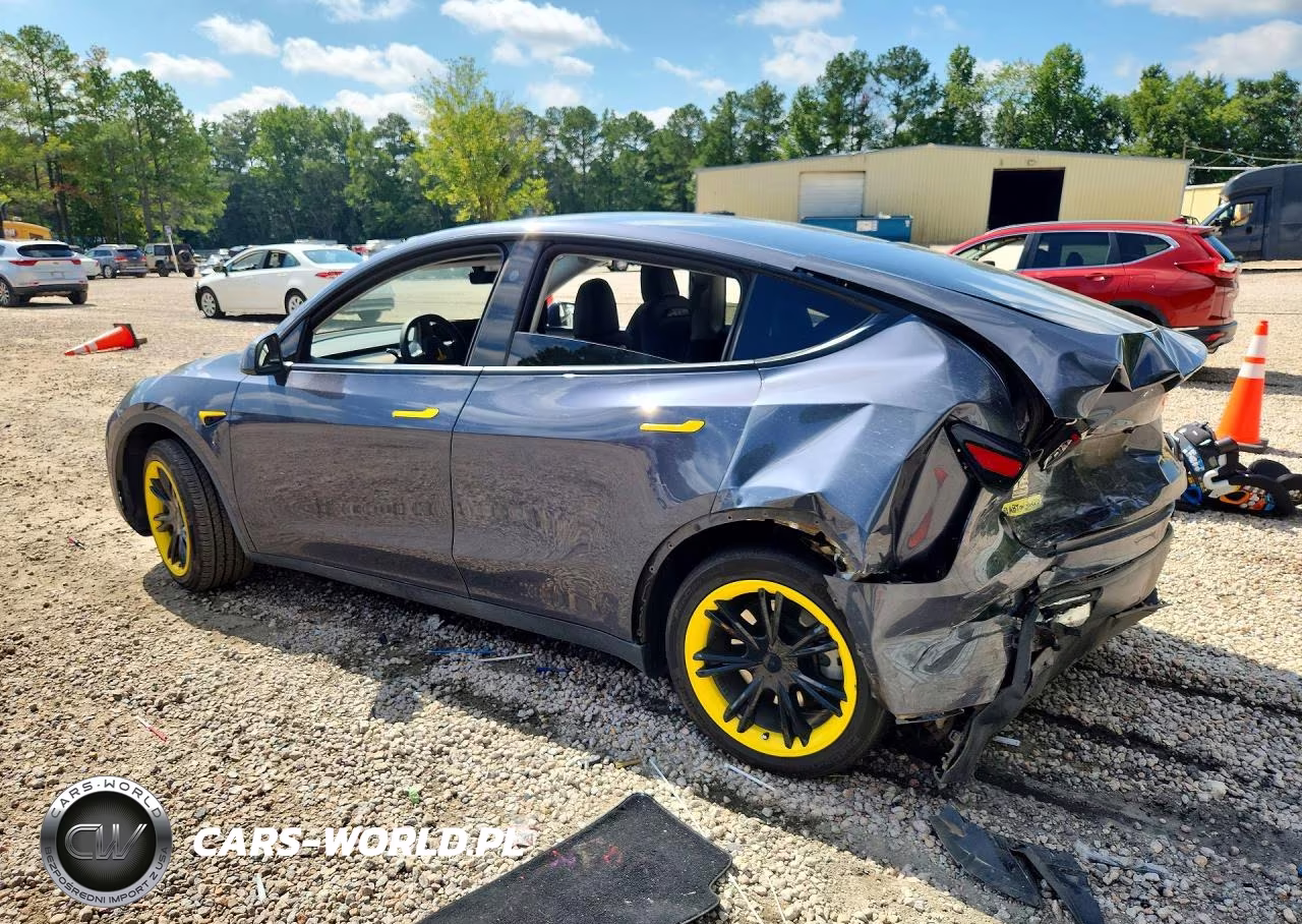 2023 Tesla Model Y VIN:7SAYGDEDXPF949703 - 2