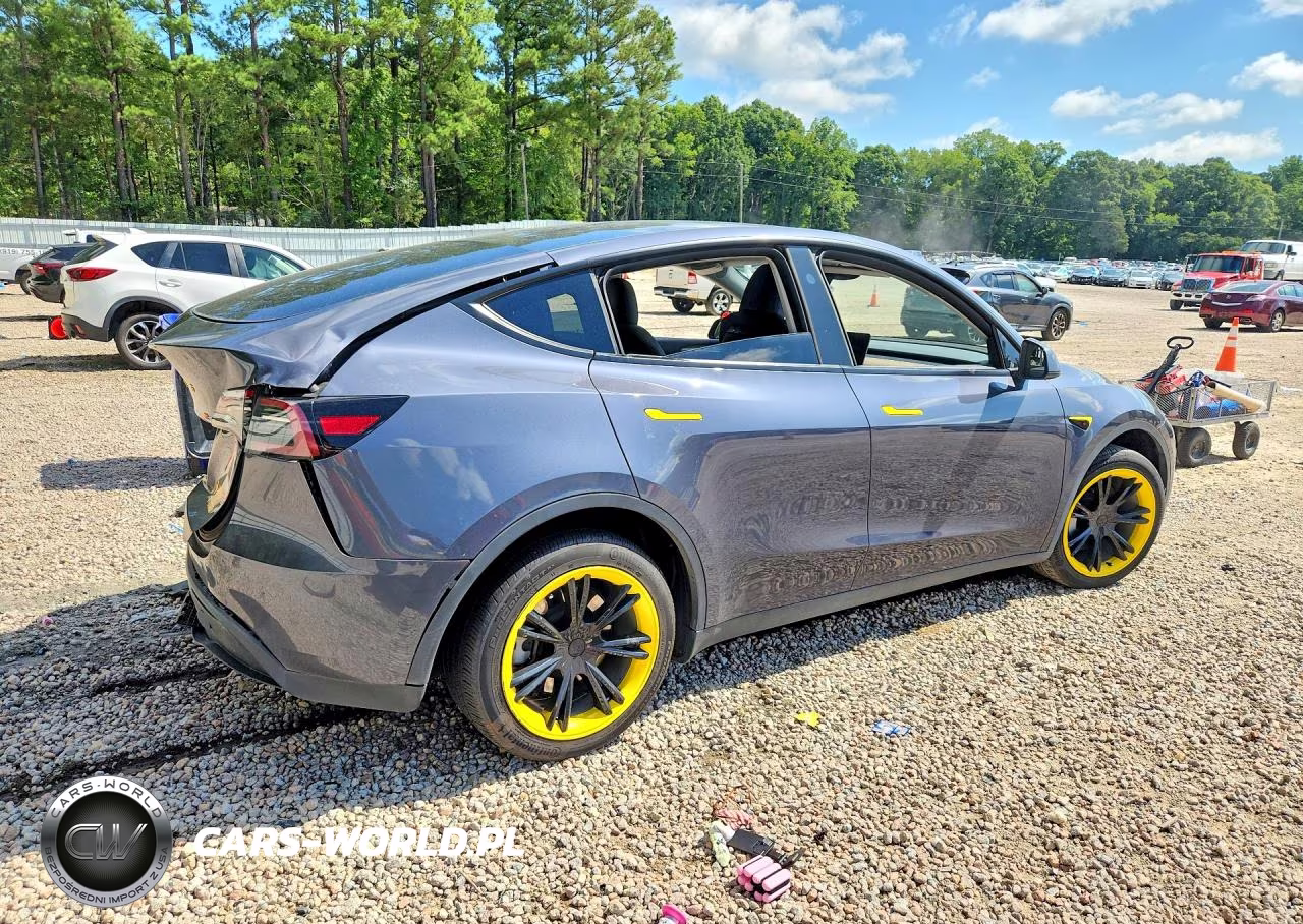 2023 Tesla Model Y VIN:7SAYGDEDXPF949703 - 3