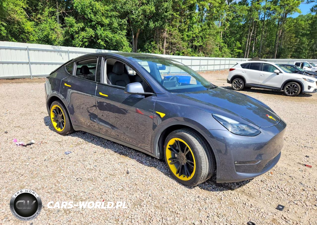 2023 Tesla Model Y VIN:7SAYGDEDXPF949703 - 4