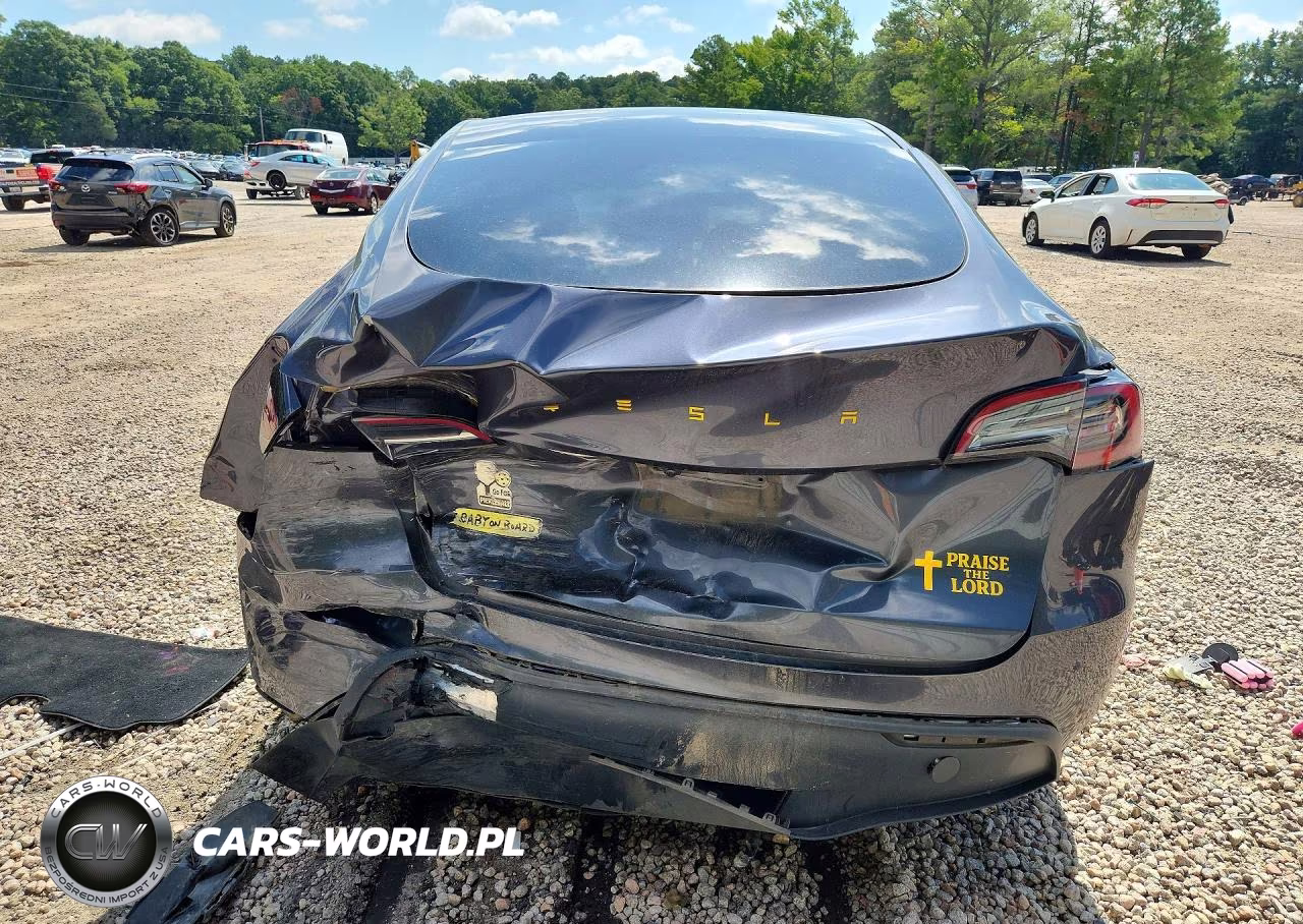 2023 Tesla Model Y VIN:7SAYGDEDXPF949703 - 6