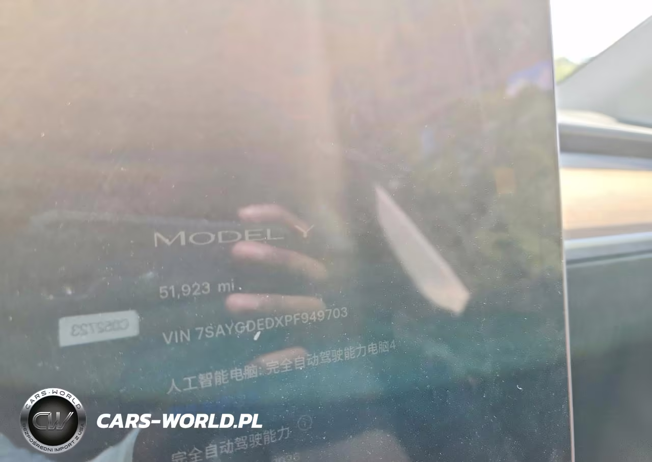 2023 Tesla Model Y VIN:7SAYGDEDXPF949703 - 9