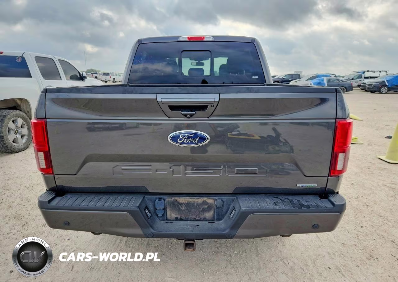 2019 Ford F150 Supercrew VIN:1FTEW1CPXKKE61927 - 6