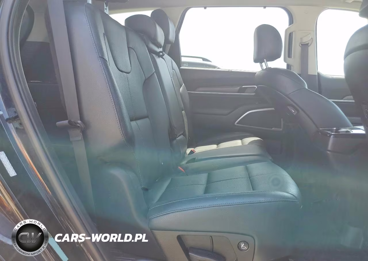 2020 Kia Telluride Ex VIN:5XYP34HC1LG017173 - 11