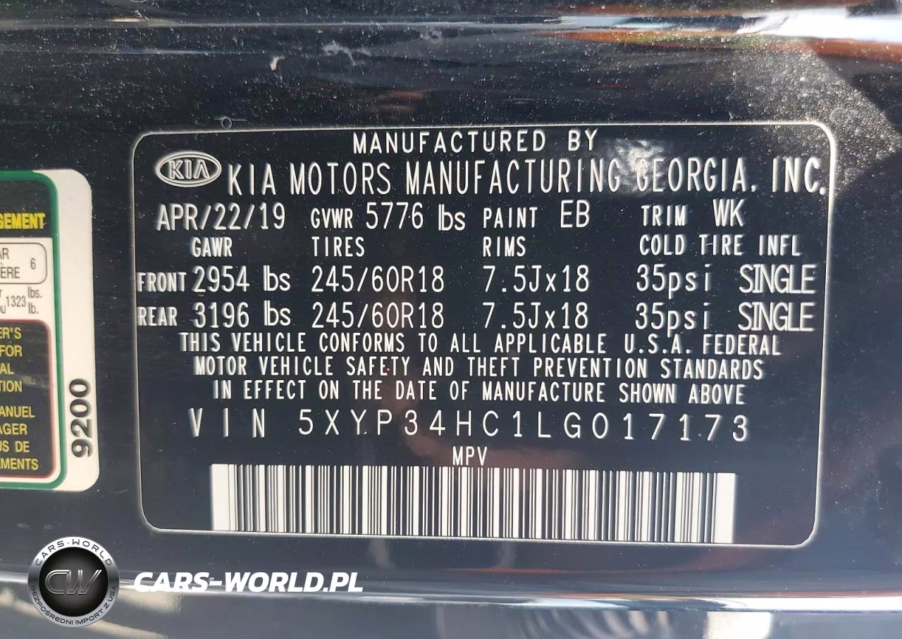 2020 Kia Telluride Ex VIN:5XYP34HC1LG017173 - 13
