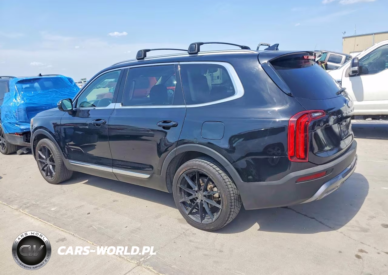 2020 Kia Telluride Ex VIN:5XYP34HC1LG017173 - 2