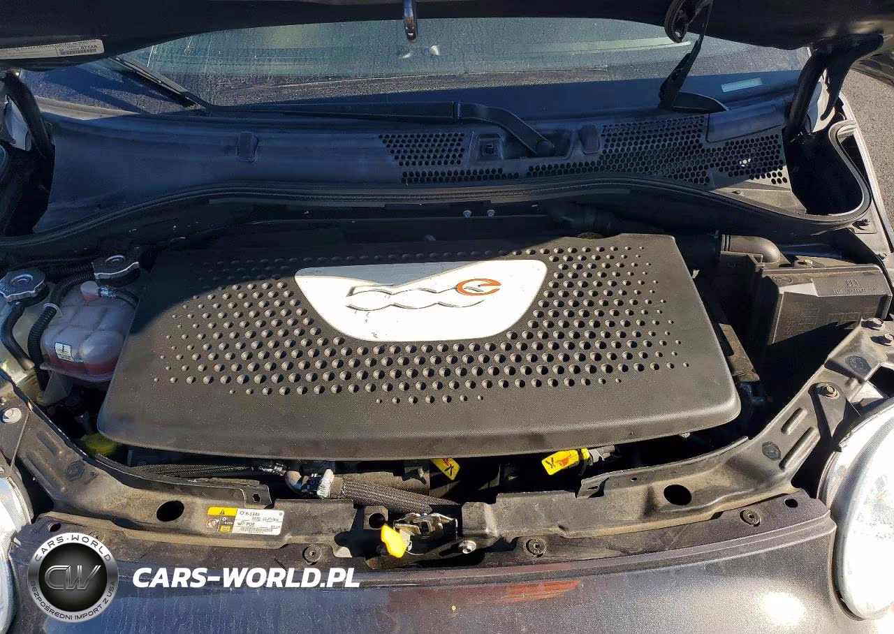 2014 Fiat 500 Electric VIN:3C3CFFGE9ET175877 - 11