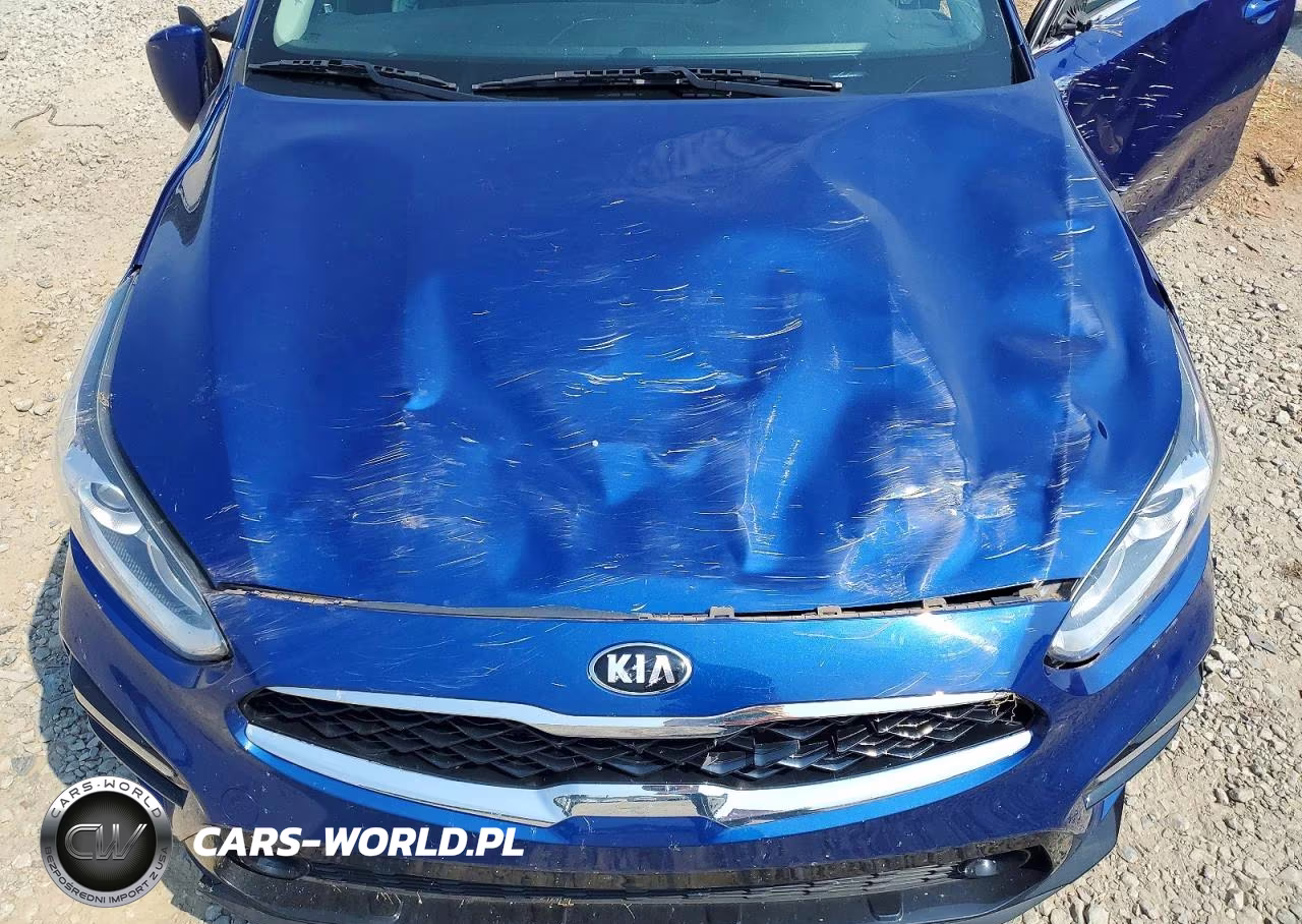 2021 Kia Forte Ex VIN:3KPF54AD9ME393417 - 11