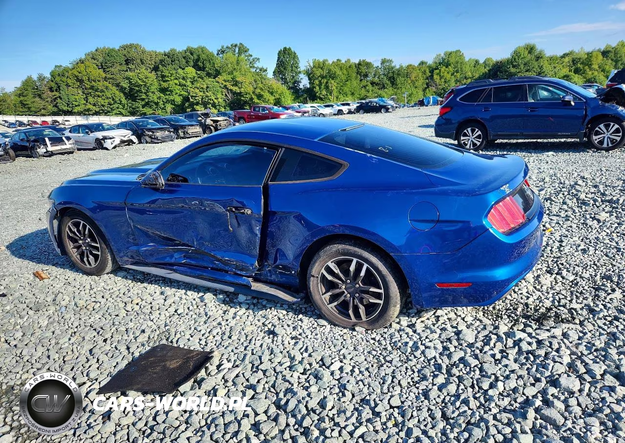 2017 Ford Mustang VIN:1FA6P8AM5H5322952 - 2