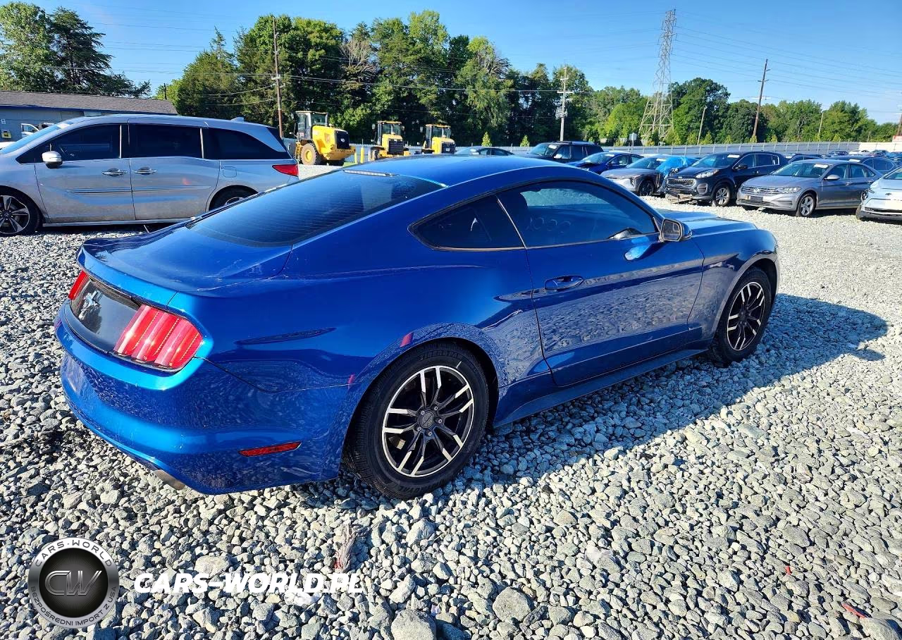 2017 Ford Mustang VIN:1FA6P8AM5H5322952 - 3