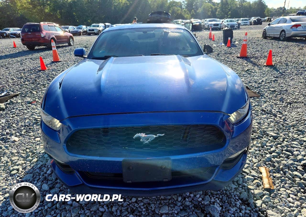 2017 Ford Mustang VIN:1FA6P8AM5H5322952 - 5