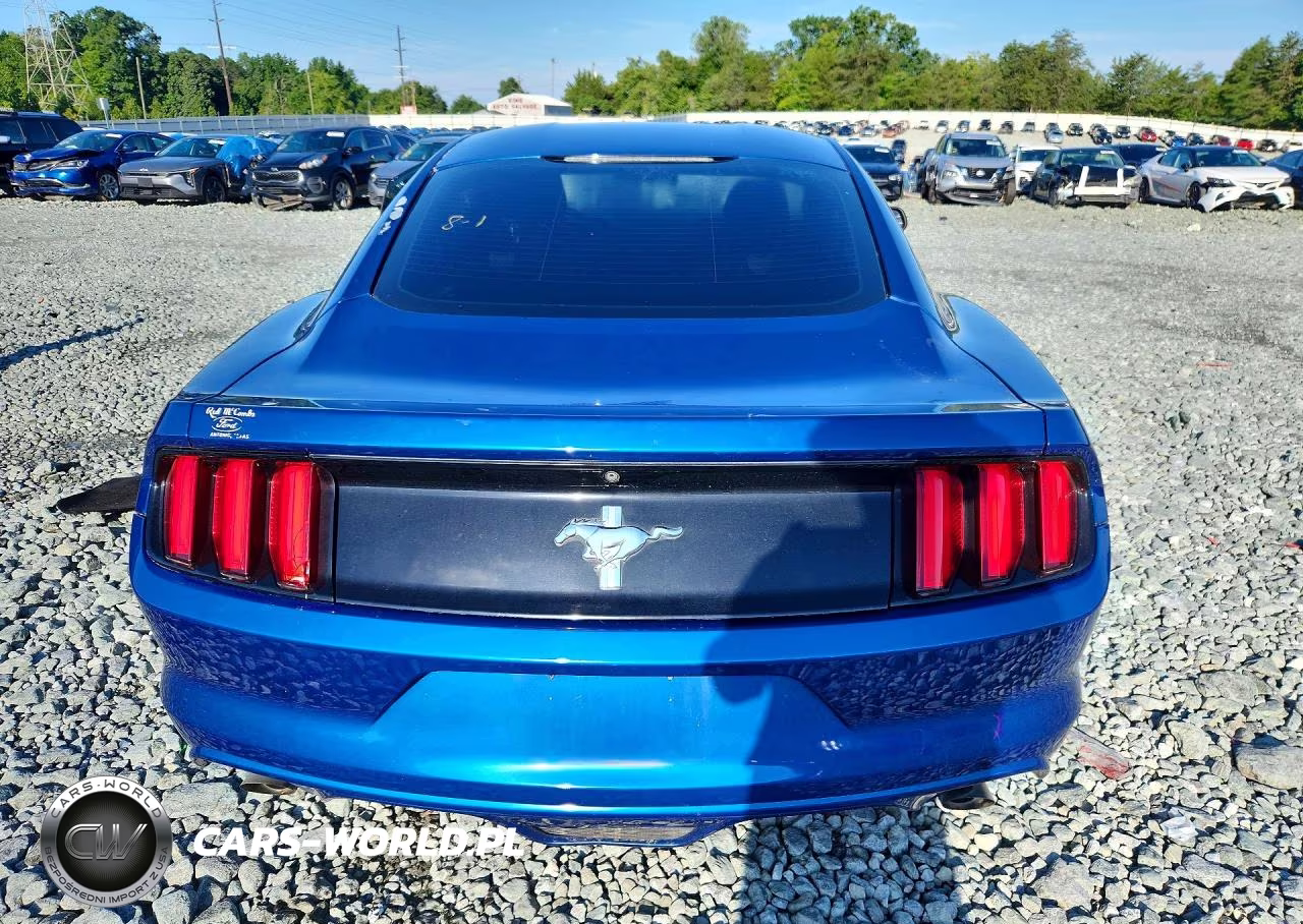 2017 Ford Mustang VIN:1FA6P8AM5H5322952 - 6