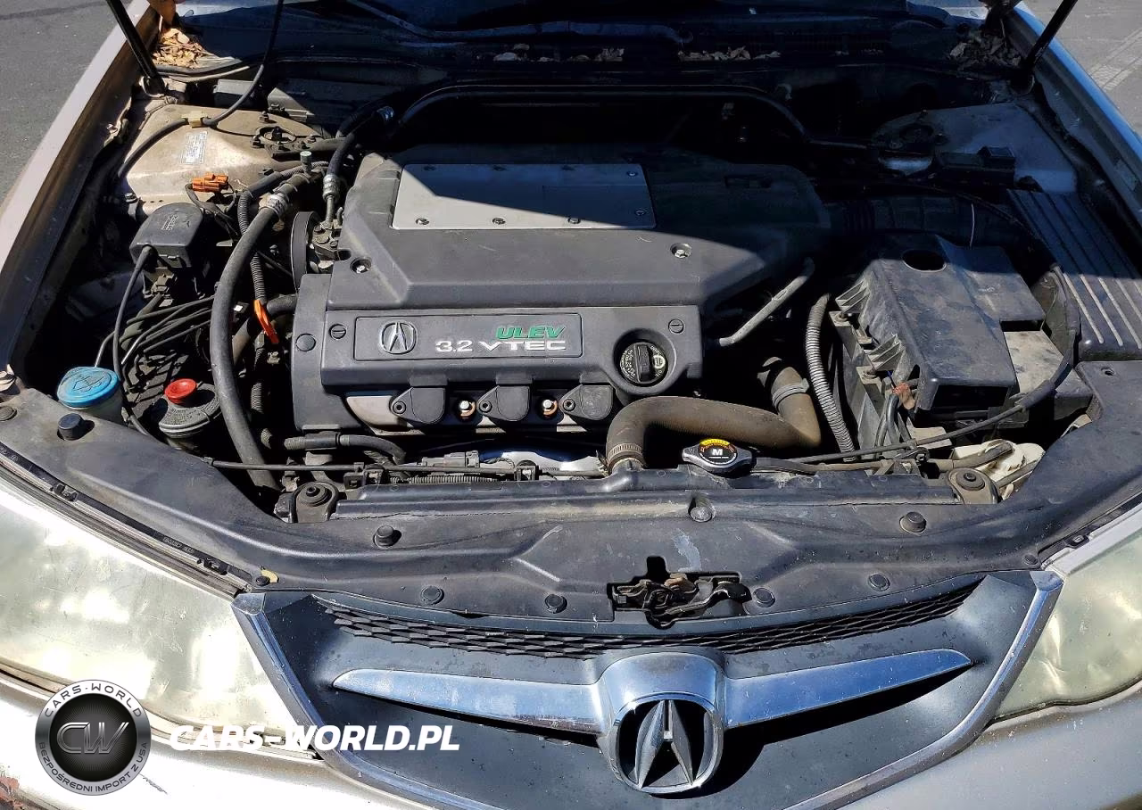 2002 Acura 3.2Tl VIN:19UUA56662A027287 - 11