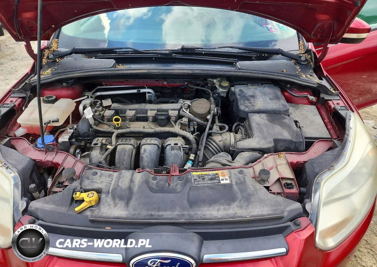 2014 Ford Focus Se VIN:1FADP3F23EL189245 - 11