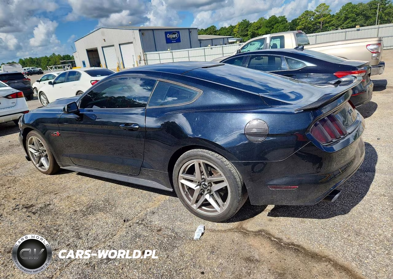 2017 Ford Mustang Gt VIN:1FA6P8CF8H5290013 - 2