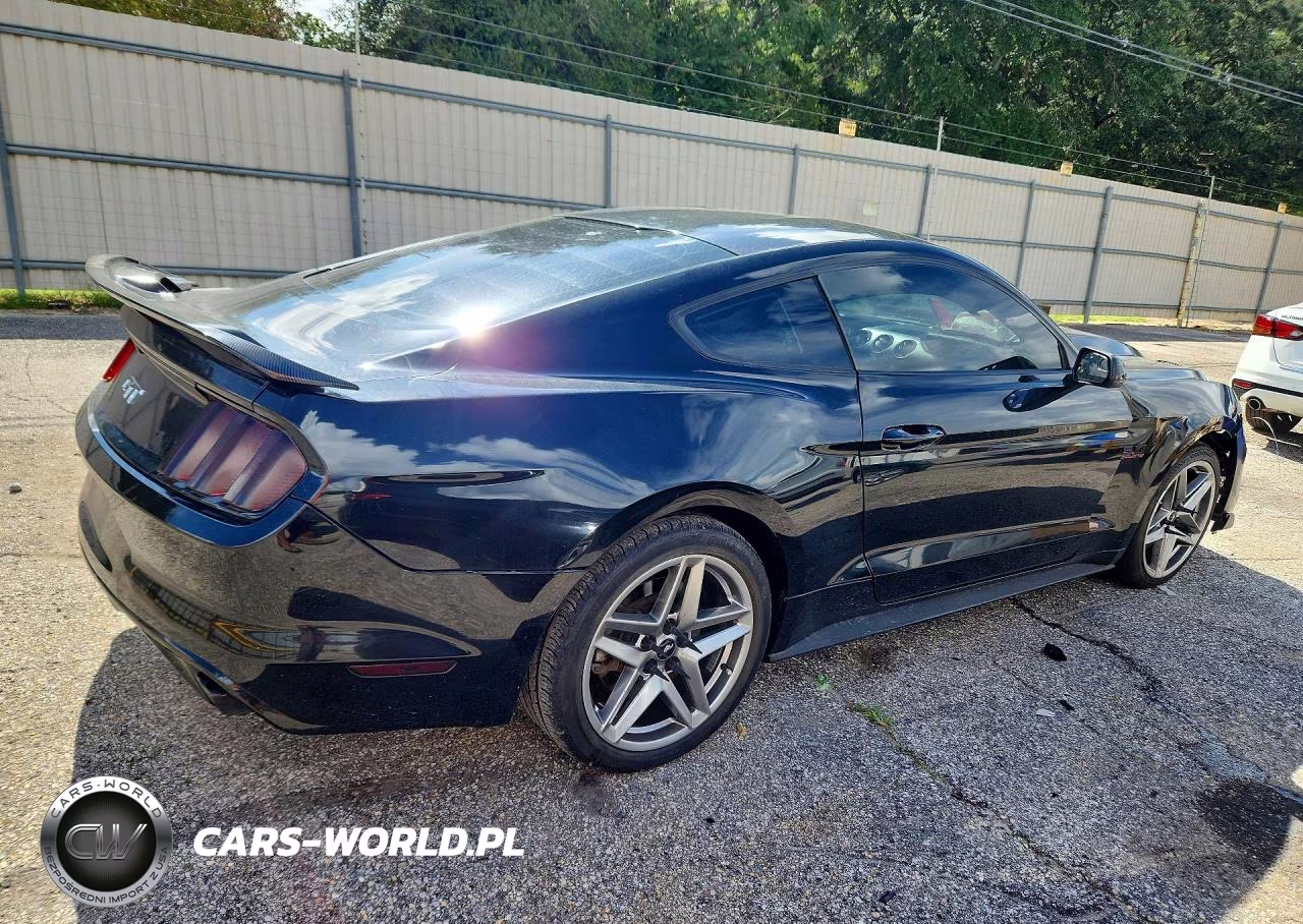2017 Ford Mustang Gt VIN:1FA6P8CF8H5290013 - 3