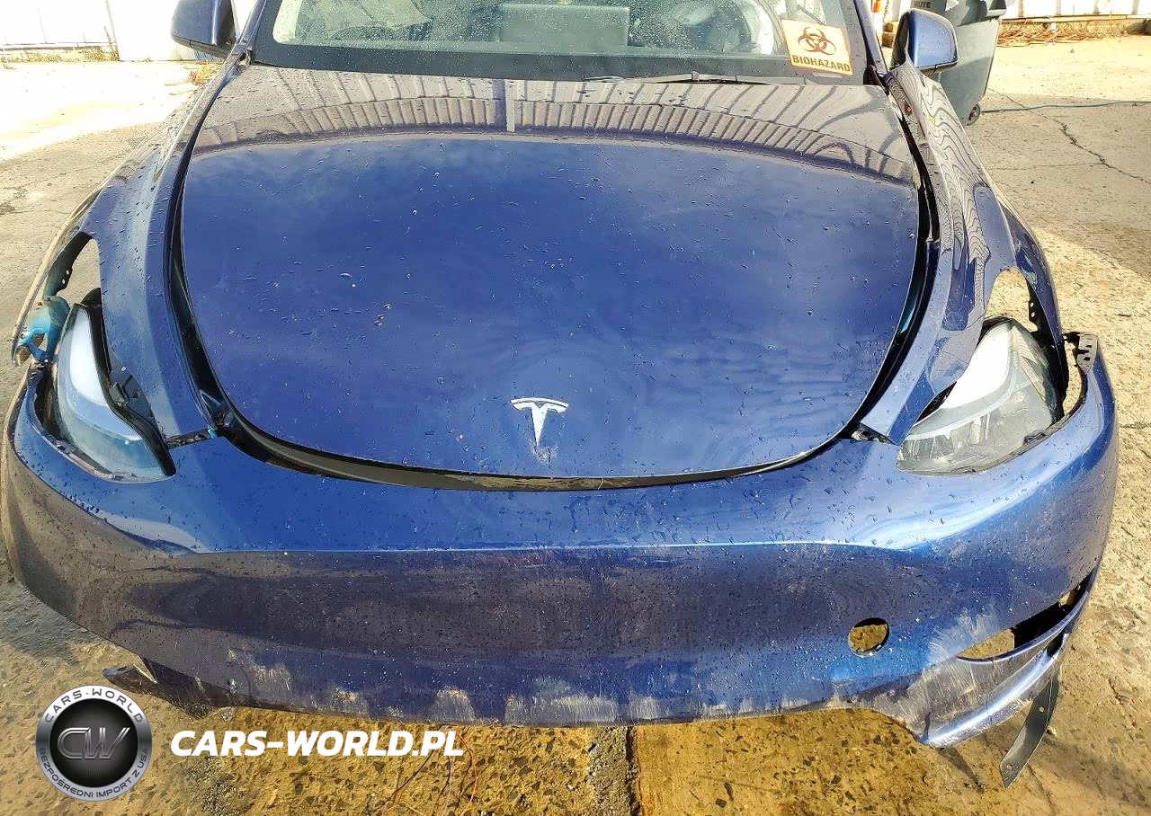 2023 Tesla Model Y VIN:7SAYGDEE5PF848867 - 11