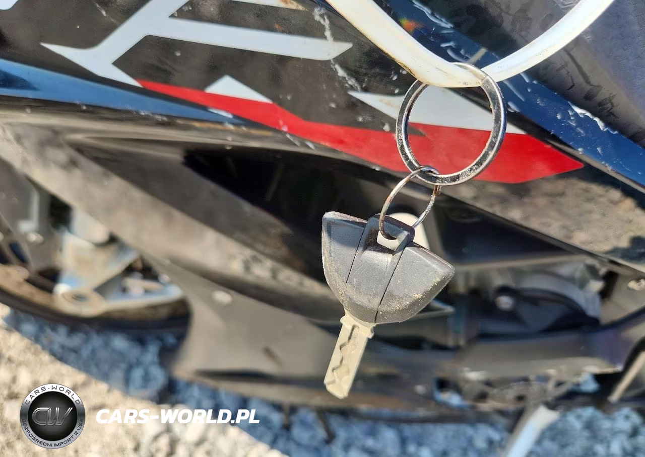 2024 BMW S 1000 Rr VIN:WB10E6301R6J94237 - 8