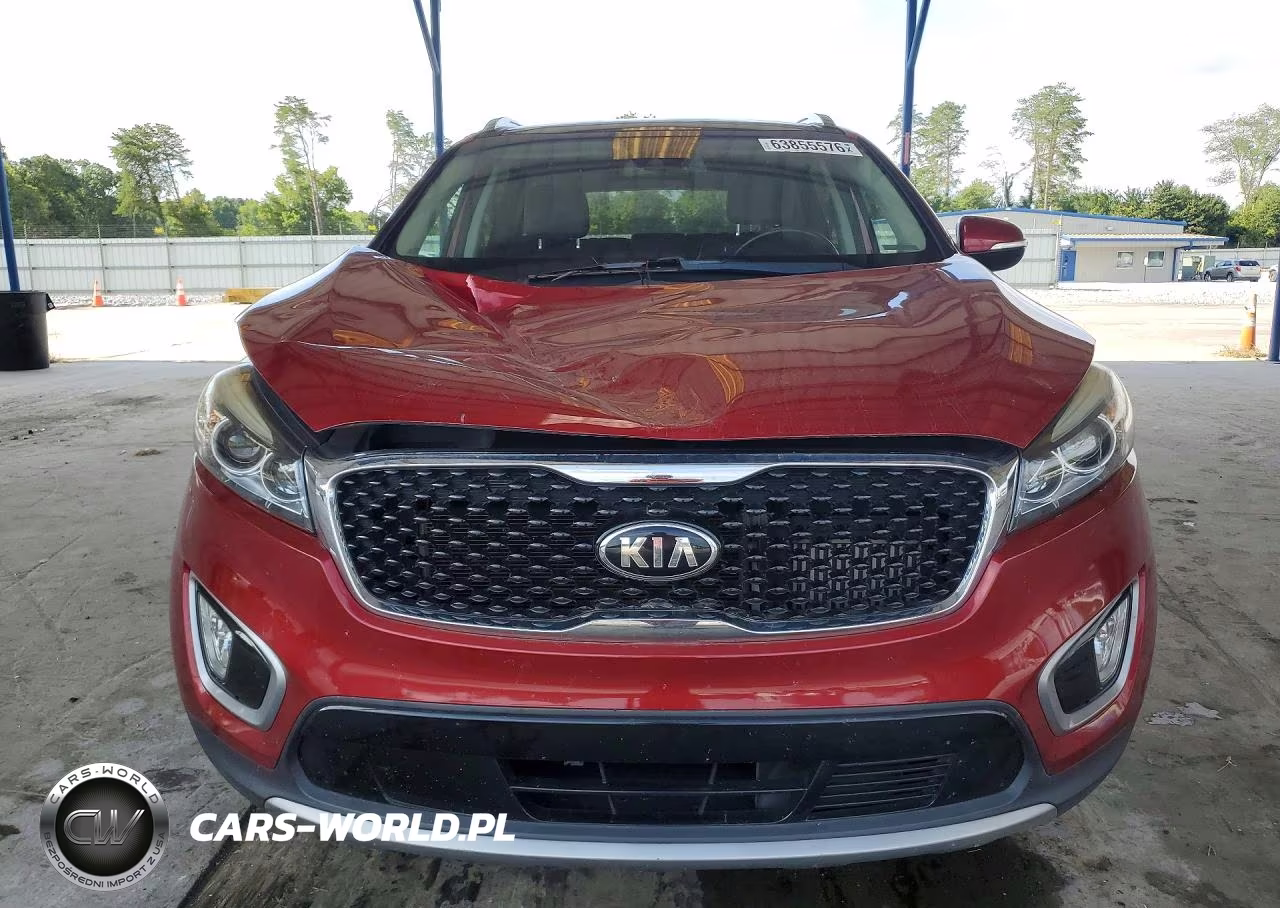 2017 Kia Sorento Ex VIN:5XYPH4A14HG276094 - 5