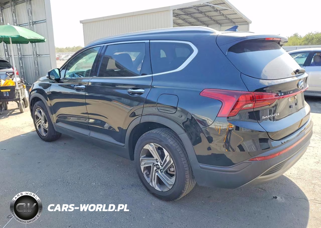 2023 Hyundai Santa Fe Sel VIN:5NMS24AJ2PH562588 - 2