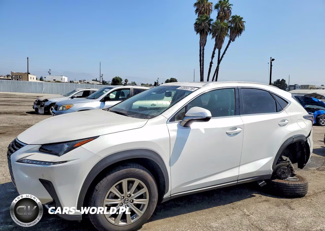 2020 Lexus Nx 300 VIN:JTJDARBZ3L5003624 - 1