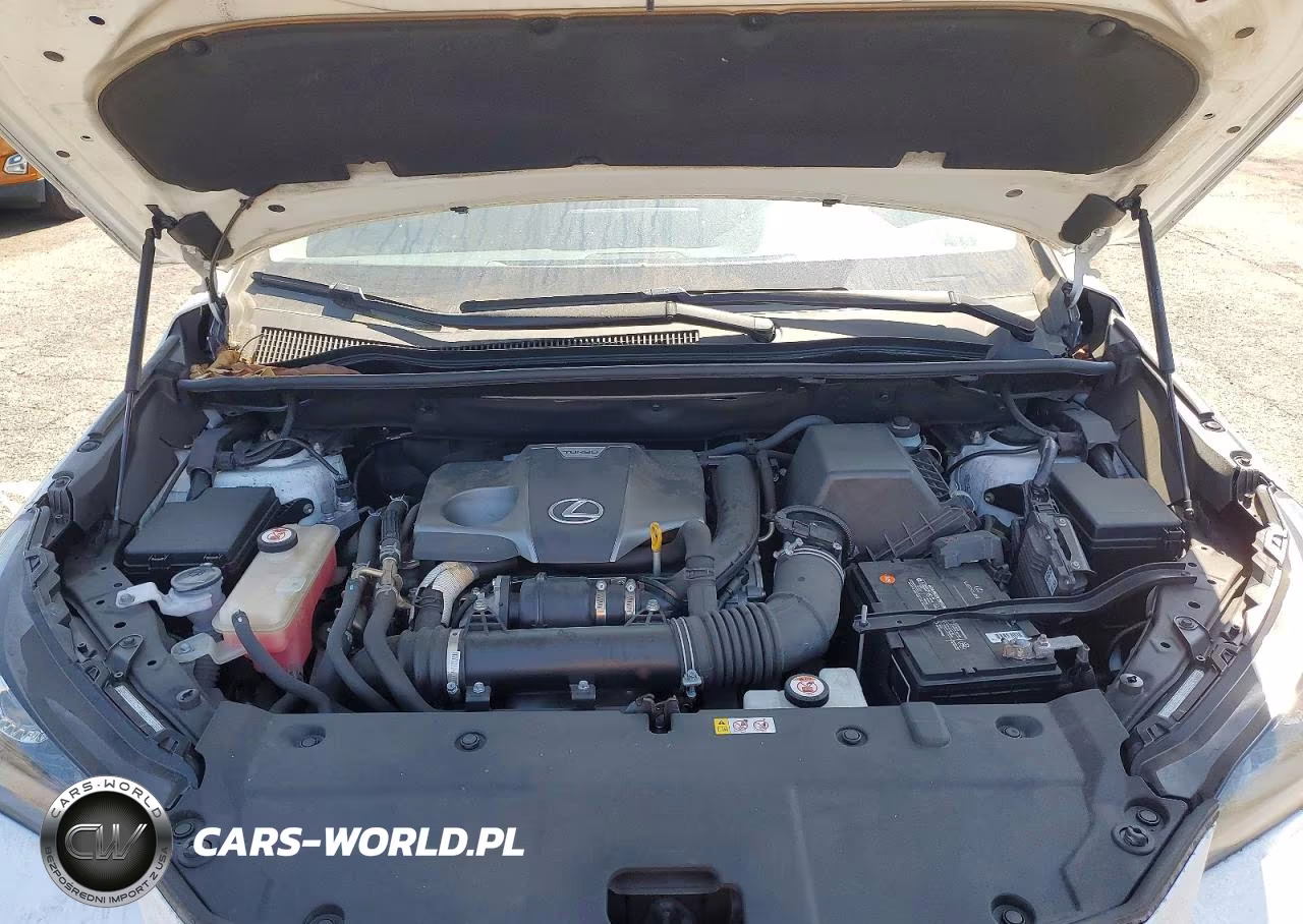 2020 Lexus Nx 300 VIN:JTJDARBZ3L5003624 - 12