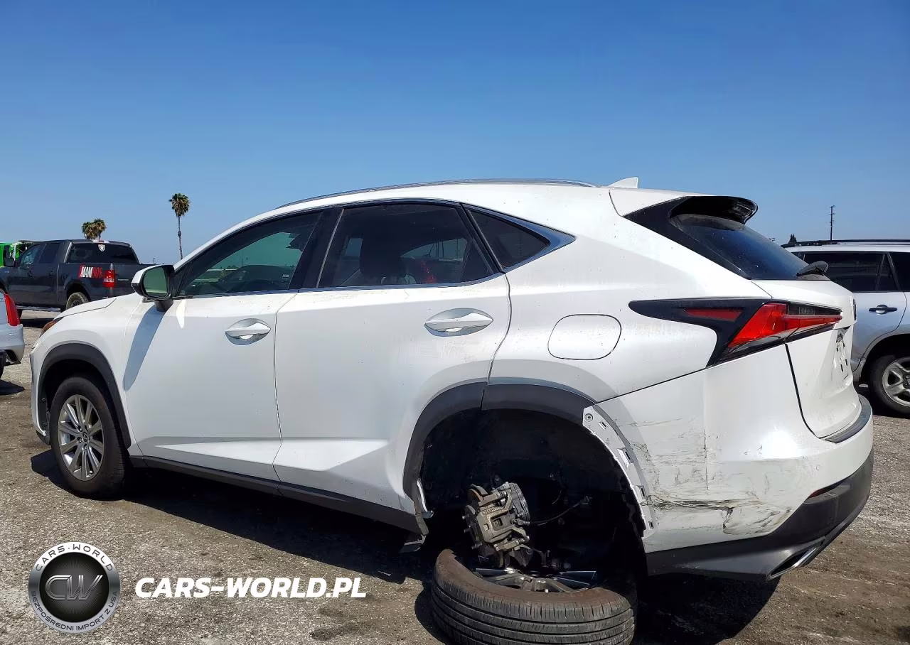 2020 Lexus Nx 300 VIN:JTJDARBZ3L5003624 - 2