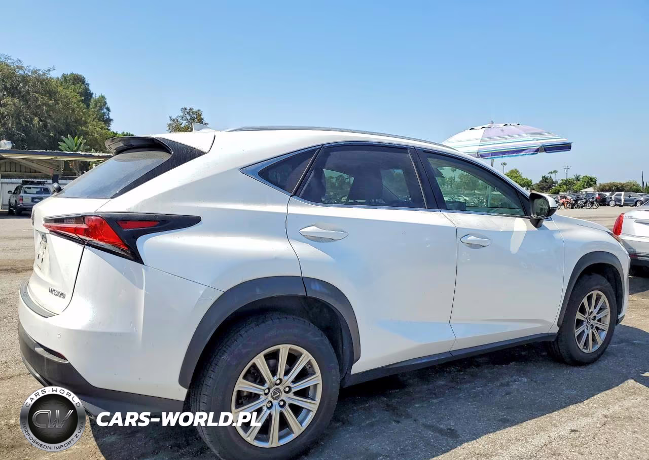 2020 Lexus Nx 300 VIN:JTJDARBZ3L5003624 - 3