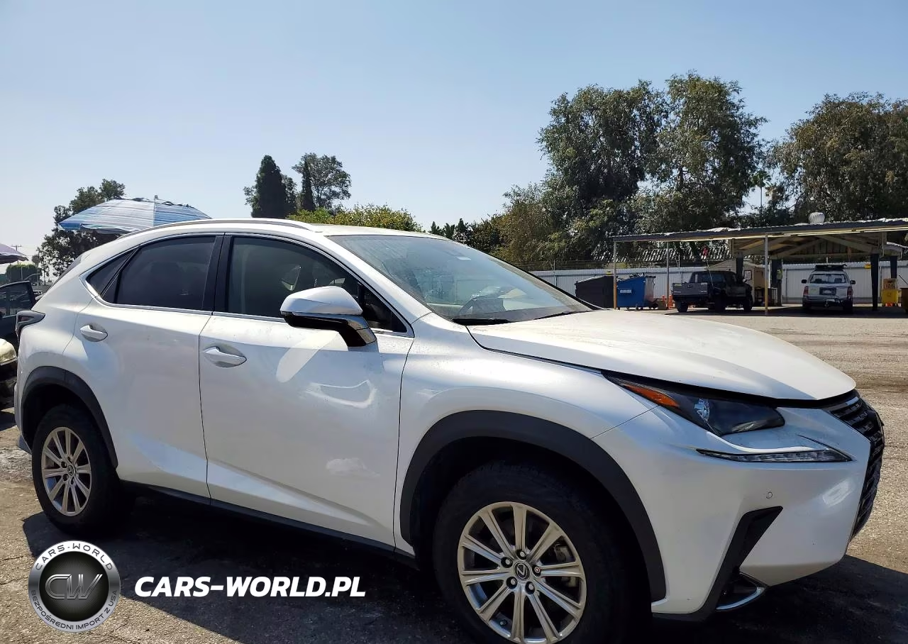 2020 Lexus Nx 300 VIN:JTJDARBZ3L5003624 - 4