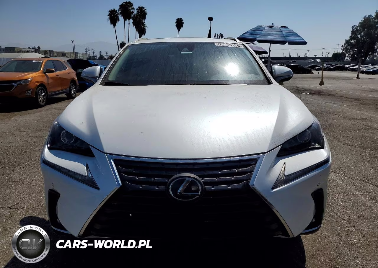 2020 Lexus Nx 300 VIN:JTJDARBZ3L5003624 - 5