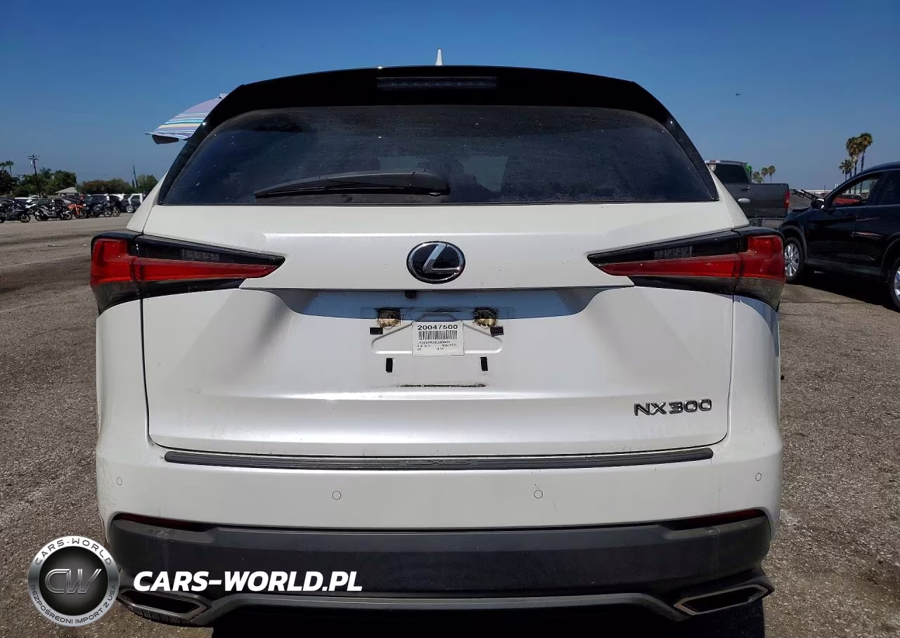 2020 Lexus Nx 300 VIN:JTJDARBZ3L5003624 - 6