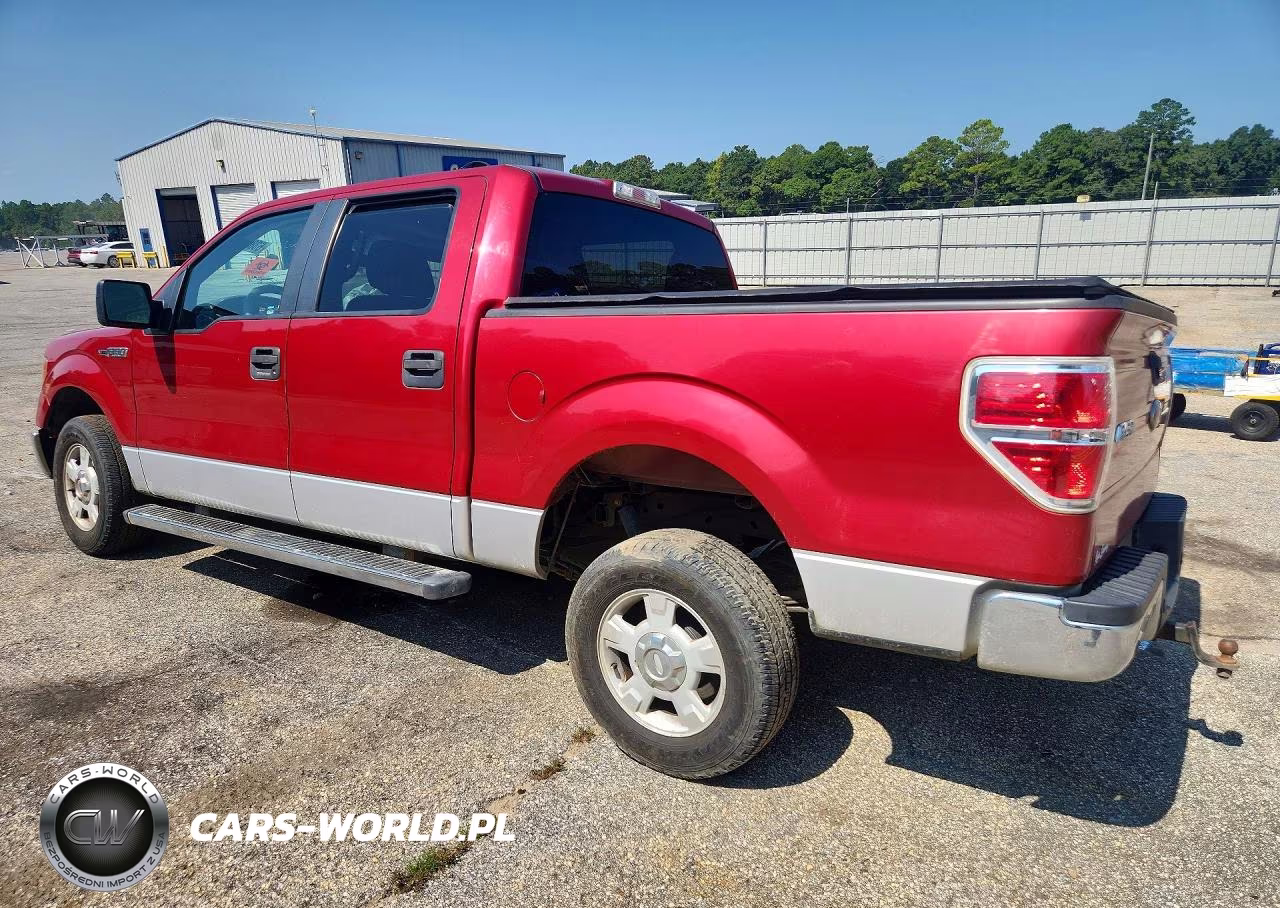 2010 Ford F150 Supercrew VIN:1FTEW1C81AFC44511 - 2