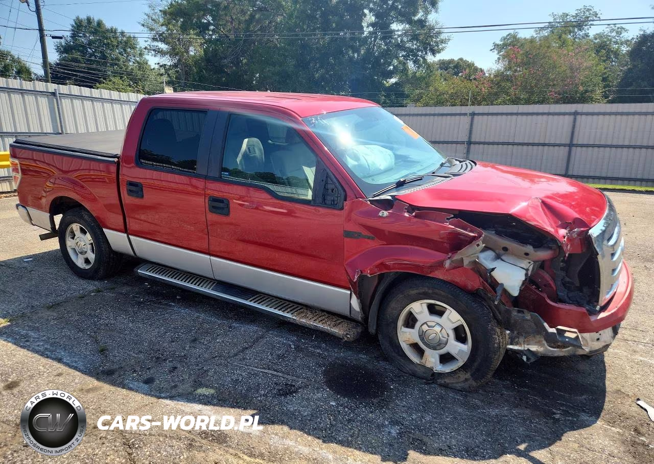 2010 Ford F150 Supercrew VIN:1FTEW1C81AFC44511 - 4