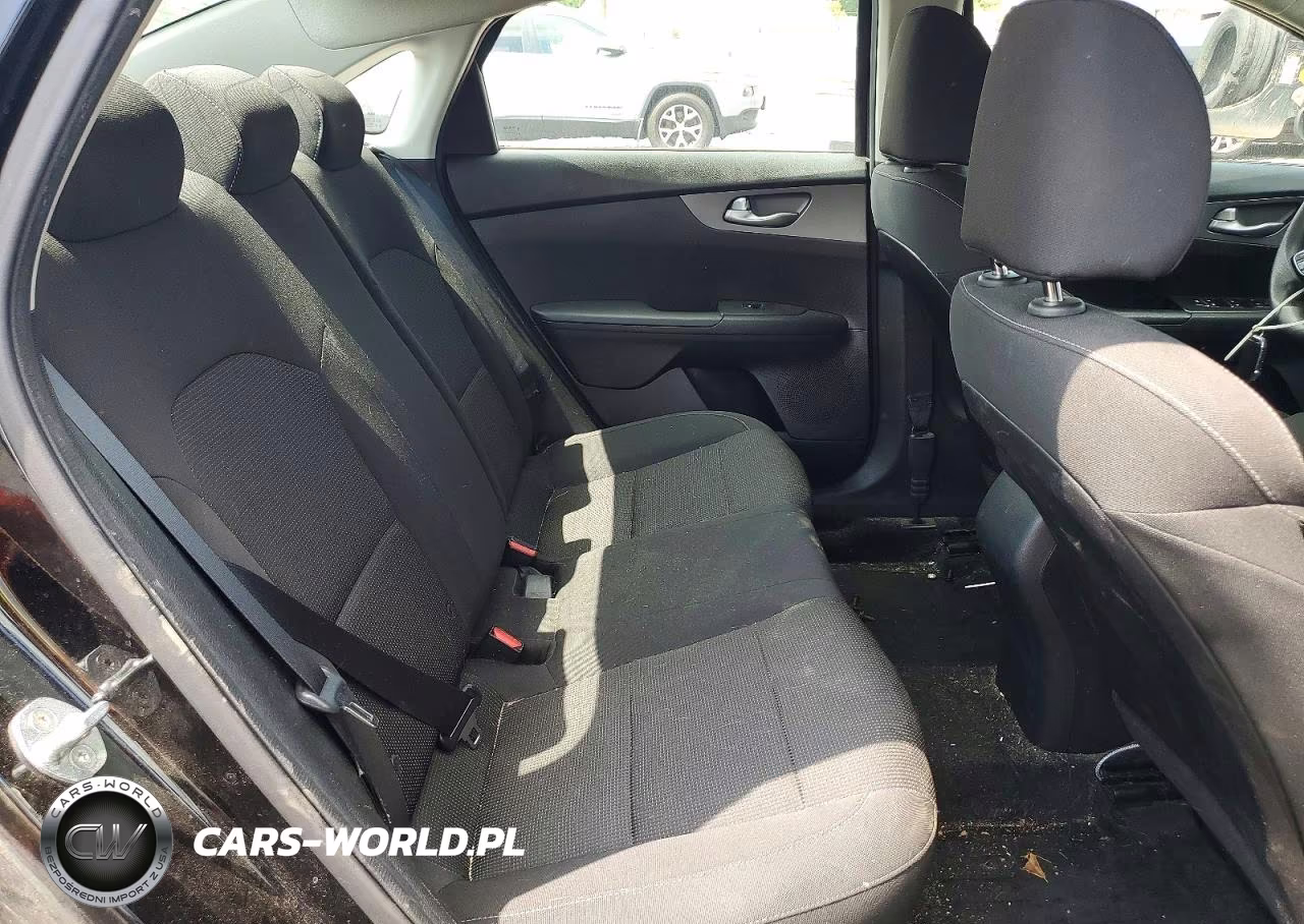 2019 Kia Forte Lxs VIN:3KPF24AD0KE087440 - 10