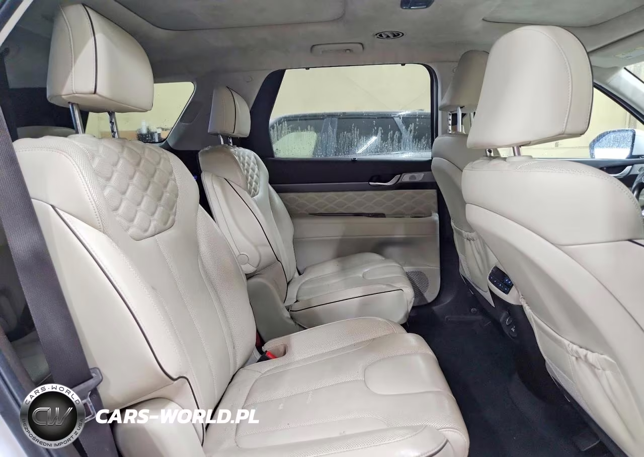 2020 Hyundai Palisade Limited VIN:KM8R5DHE0LU147024 - 11