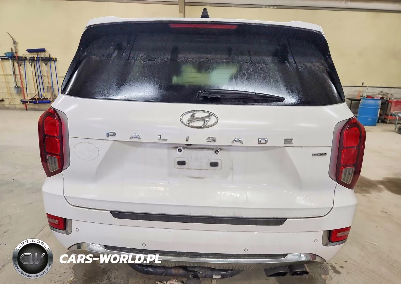 2020 Hyundai Palisade Limited VIN:KM8R5DHE0LU147024 - 6