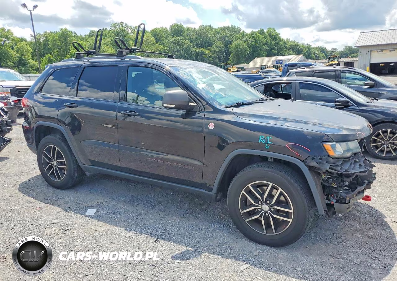 2017 Jeep Grand Cherokee Trailhawk VIN:1C4RJFLT7HC842969 - 4