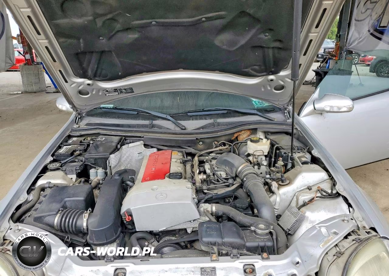 2001 Mercedes-Benz Slk 230 Kompressor VIN:WDBKK49F31F186177 - 11