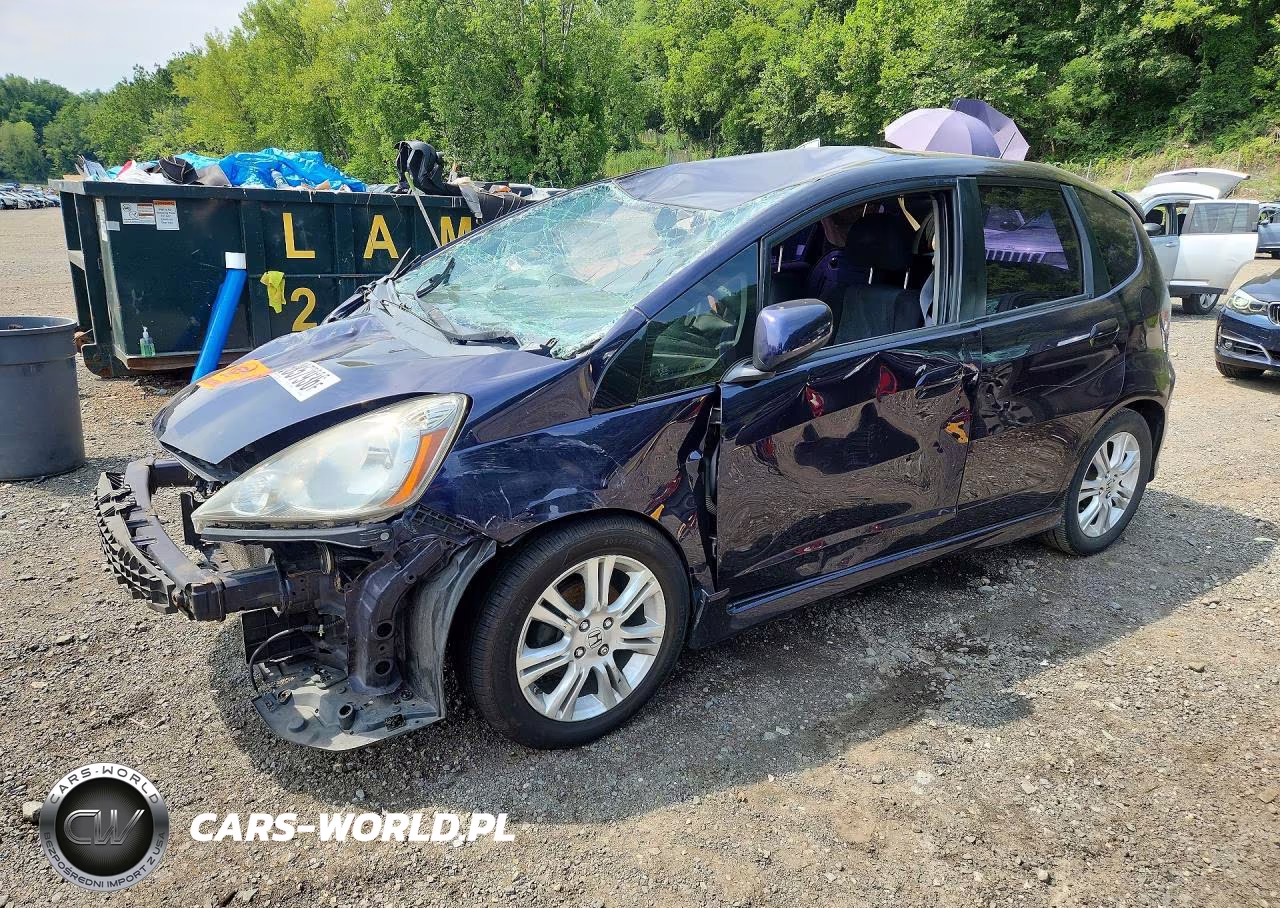 2009 Honda Fit Sport VIN:JHMGE88419S019050 - 1