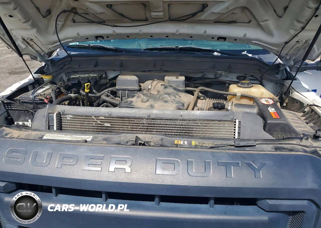 2013 Ford F250 Super Duty VIN:1FT7X2A68DEB69930 - 11