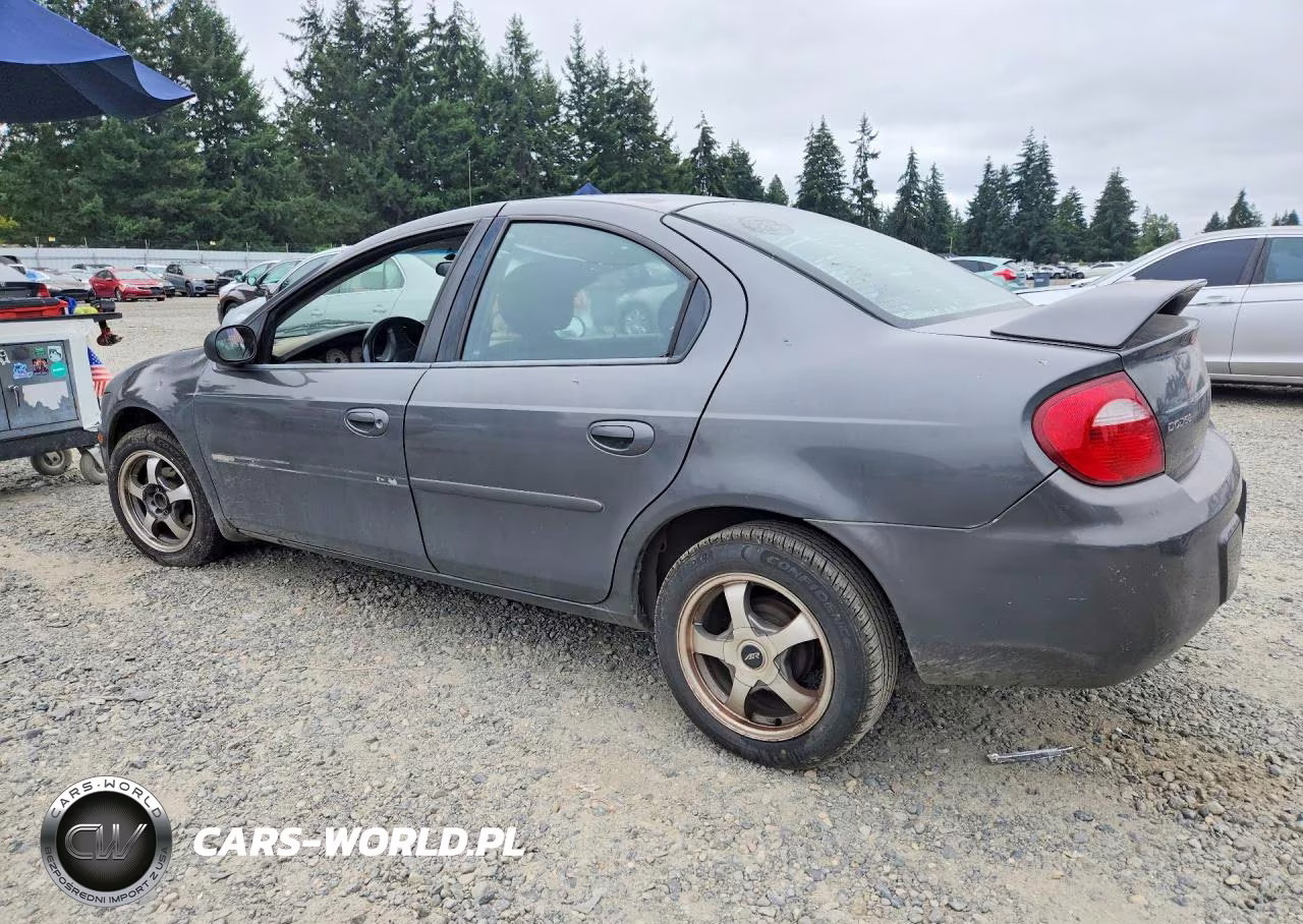 2004 Dodge Neon Sxt VIN:1B3ES56C34D535600 - 2