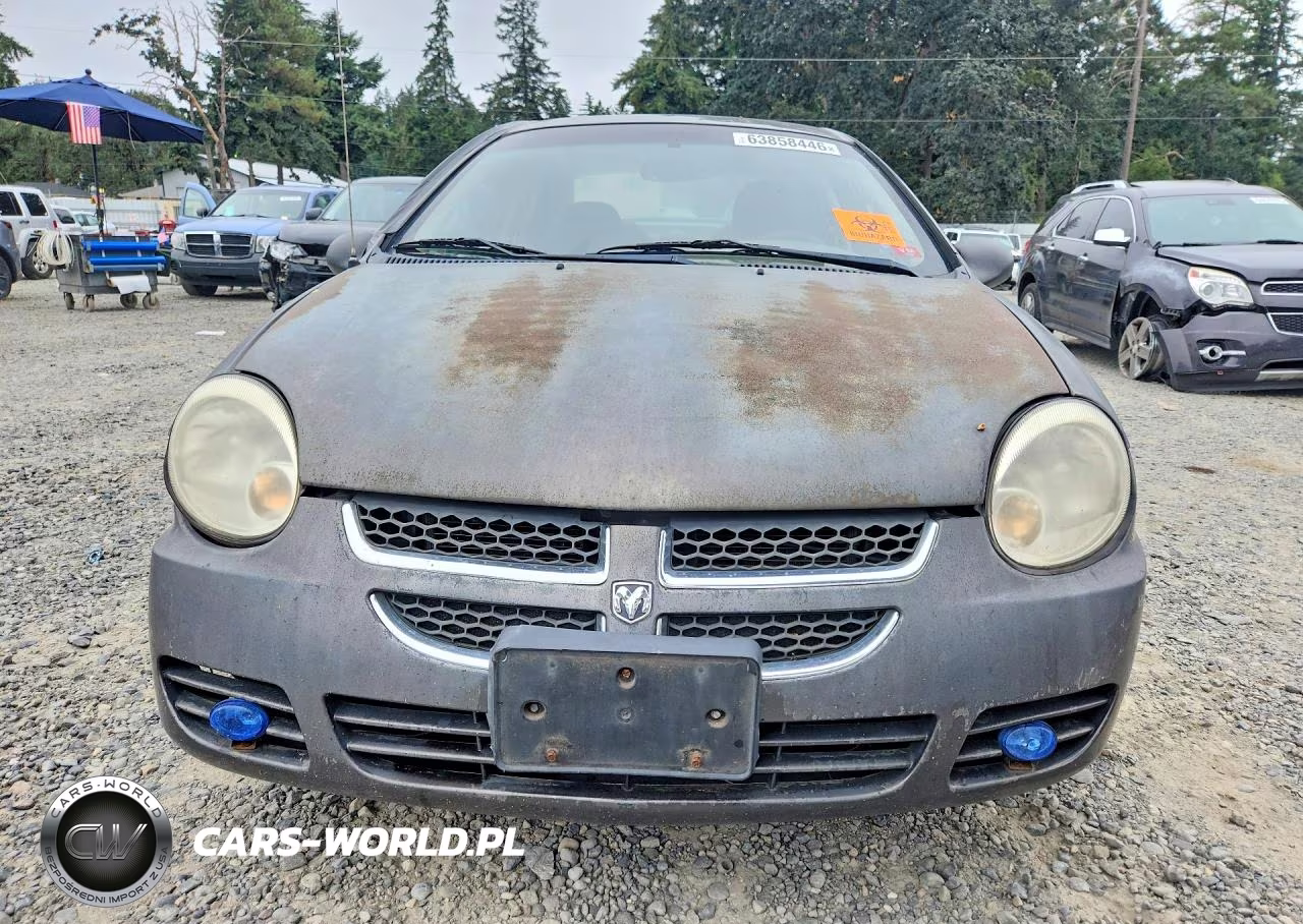 2004 Dodge Neon Sxt VIN:1B3ES56C34D535600 - 5