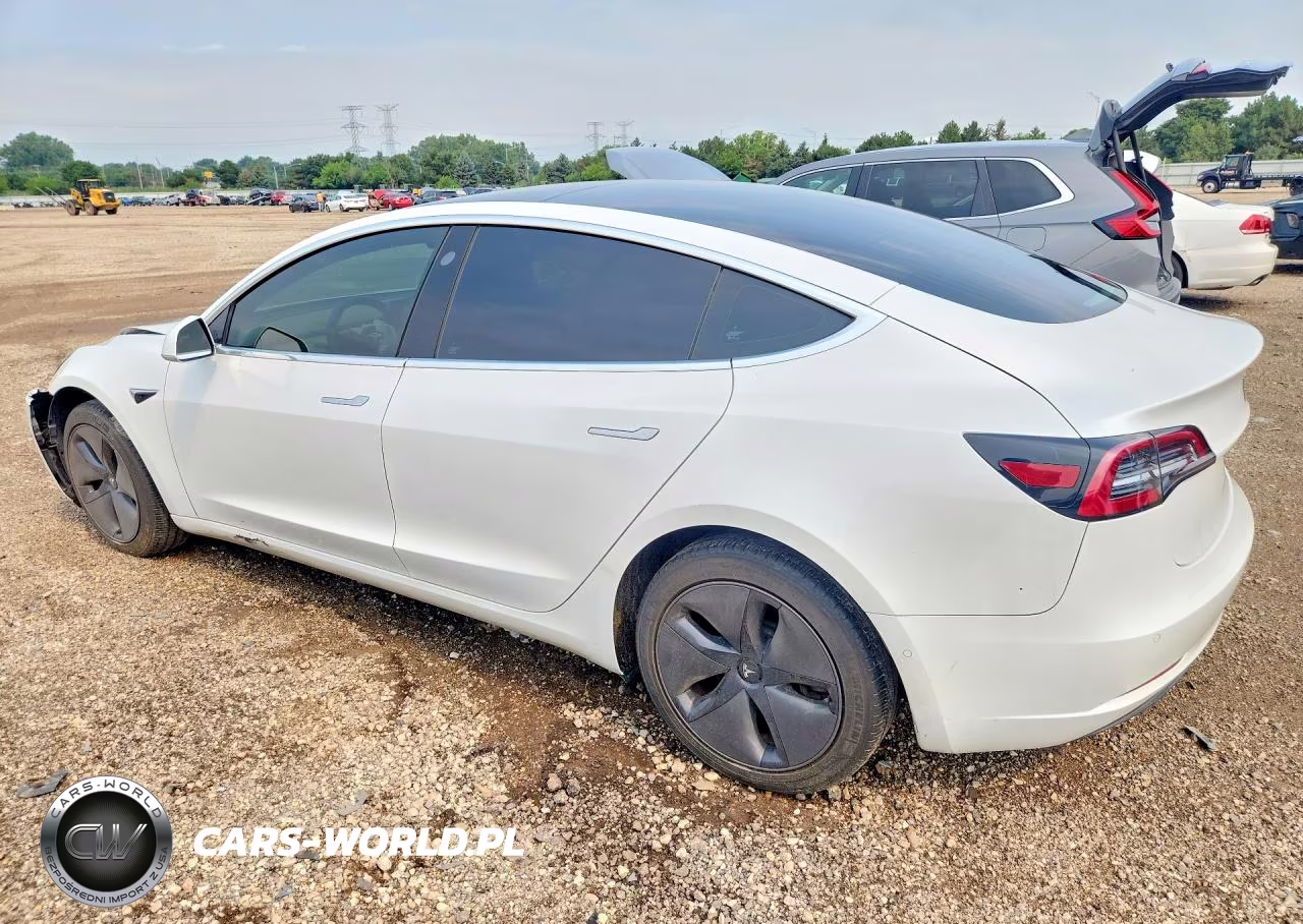 2020 Tesla Model 3 VIN:5YJ3E1EAXLF706226 - 2