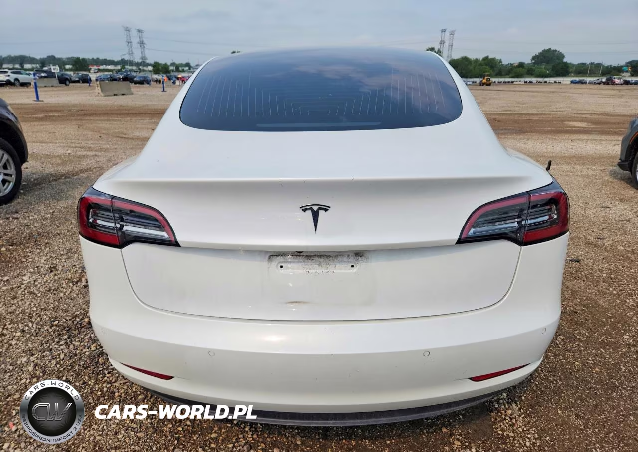 2020 Tesla Model 3 VIN:5YJ3E1EAXLF706226 - 6