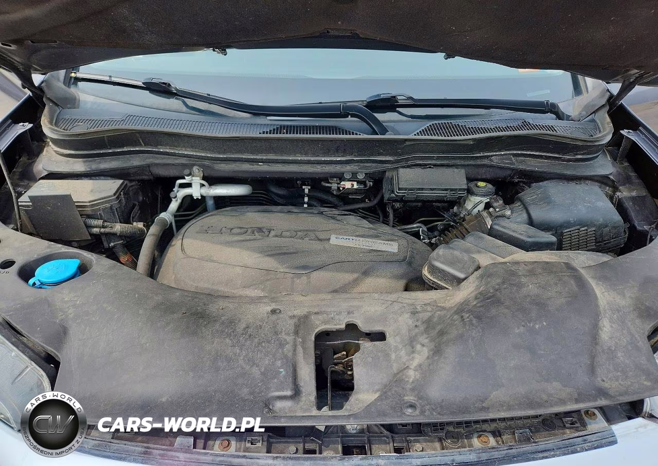 2019 Honda Pilot Exl VIN:5FNYF6H5XKB076592 - 12