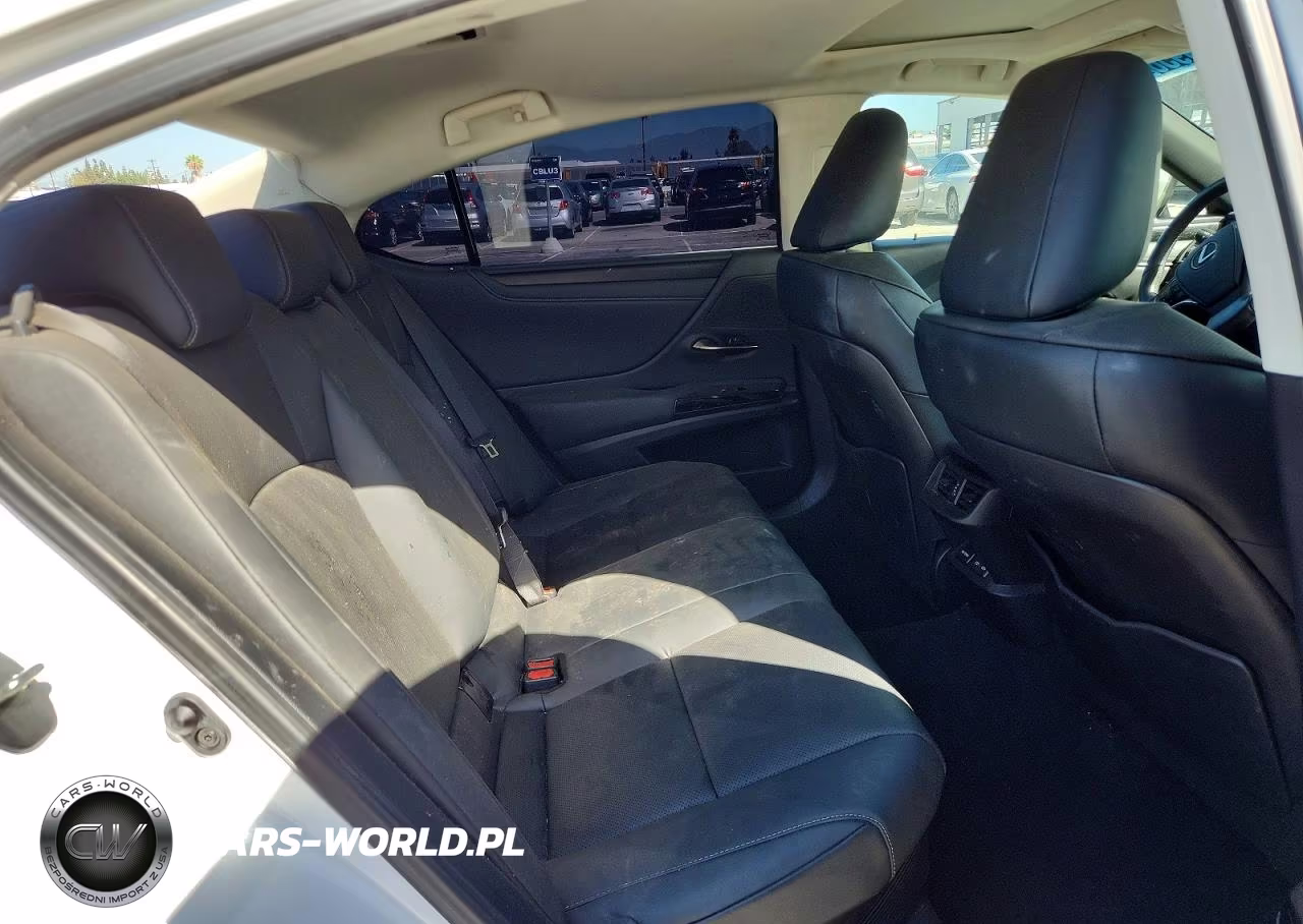 2024 Lexus Es 300H Base VIN:58ADA1C10RU045393 - 10