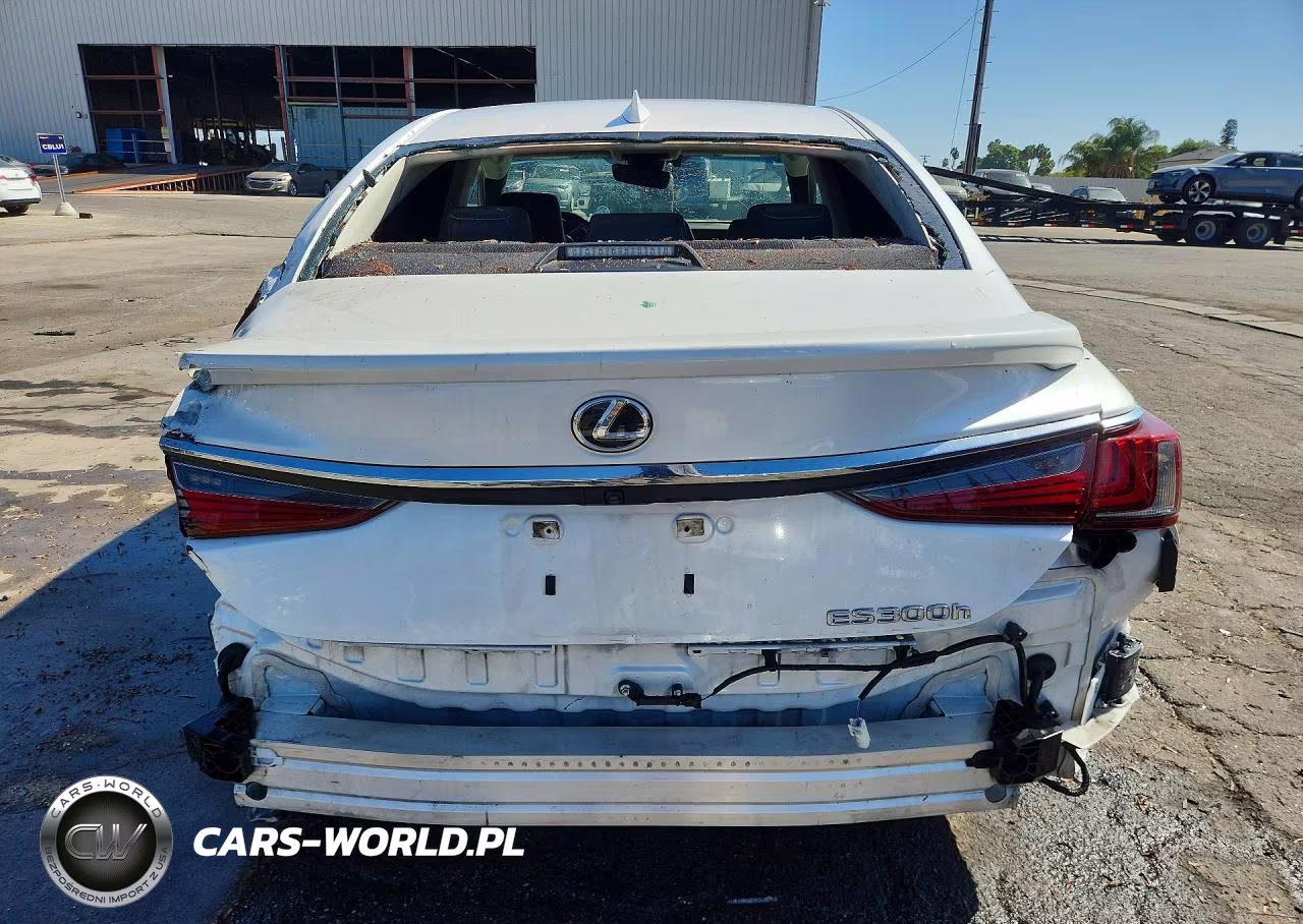 2024 Lexus Es 300H Base VIN:58ADA1C10RU045393 - 6